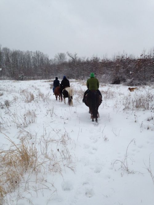 Three riders on horseback navigate a snowy trail, with a dog following in a winter landscape.