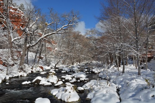 A serene winter scene featuring a snow-covered riverbank and trees, with rocks peeking through the snow.