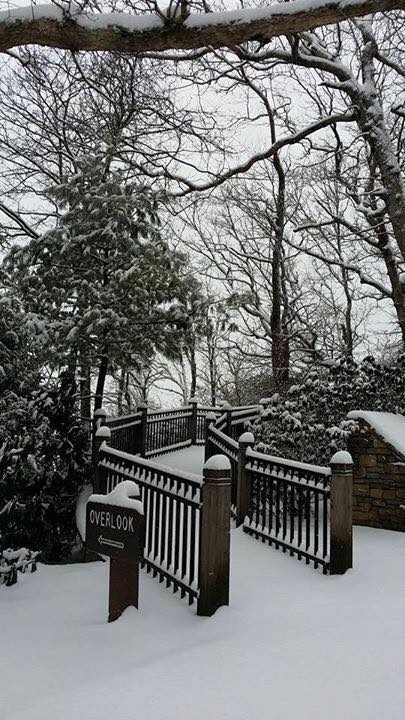 Snow-covered pathway leading to an overlook, surrounded by trees and a sign labeled "Overlook."