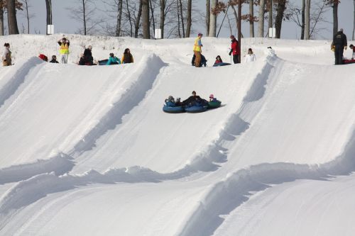 People sledding down snowy hills, with others waiting in line and trees in the background.