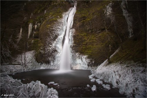 A frozen waterfall cascading into a dark pool, surrounded by icy rocks and frosted vegetation in a serene landscape.