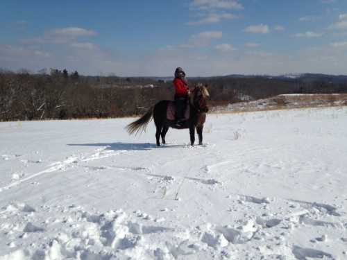 A person in a red coat rides a pony on a snowy landscape with hills in the background under a blue sky.