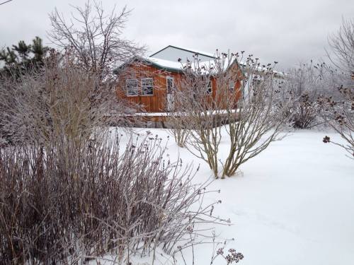 A wooden house surrounded by snow-covered bushes and trees on a cloudy winter day.