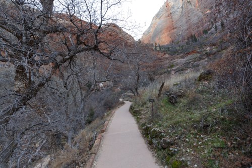 A winding path through a rocky landscape, surrounded by bare trees and steep canyon walls.