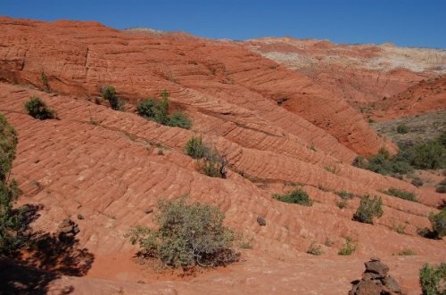 A rugged landscape of red rock formations and sparse vegetation under a clear blue sky.