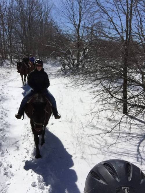 A group of people riding horses through a snowy landscape on a sunny day, with trees in the background.
