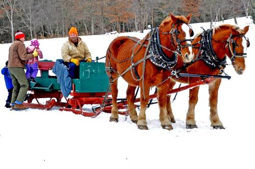 A horse-drawn sleigh in the snow, with two horses and people preparing for a ride.