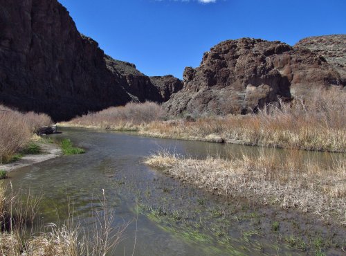 A serene river flows through a rocky canyon, surrounded by tall grasses and blue skies.