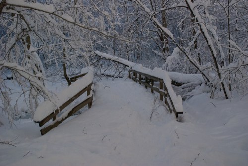 A snow-covered wooden bridge surrounded by trees, blanketed in fresh snow, creating a serene winter scene.