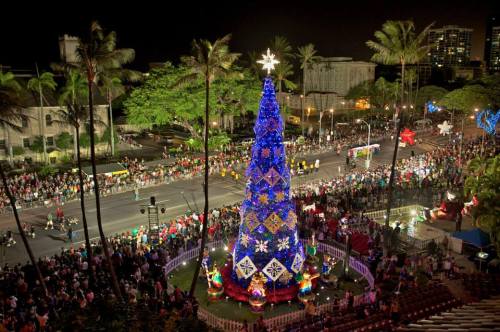 A brightly lit Christmas tree surrounded by a festive crowd at night, with palm trees and decorations in the background.