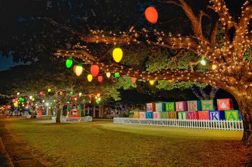 Colorful holiday lights and decorations illuminate a park at night, with festive boxes and trees adorned with lights.