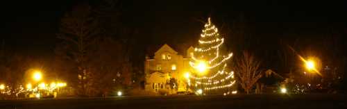 A beautifully lit Christmas tree stands in front of a house, surrounded by glowing streetlights at night.