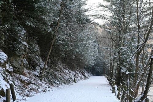 A snowy path lined with trees, leading through a serene winter landscape.