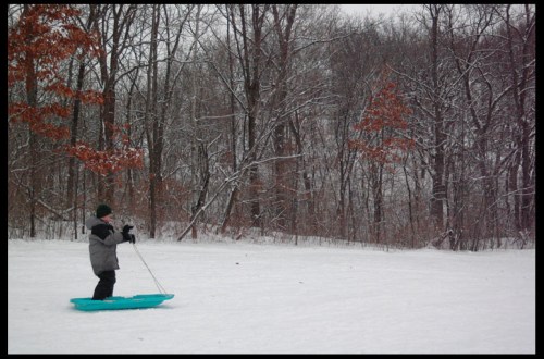 A child stands on a sled in a snowy landscape, surrounded by trees with a light dusting of snow.