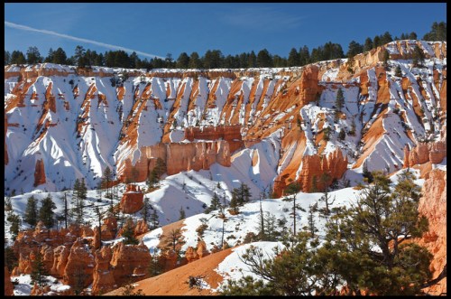 Snow-covered cliffs and pine trees in a vibrant orange canyon under a clear blue sky.