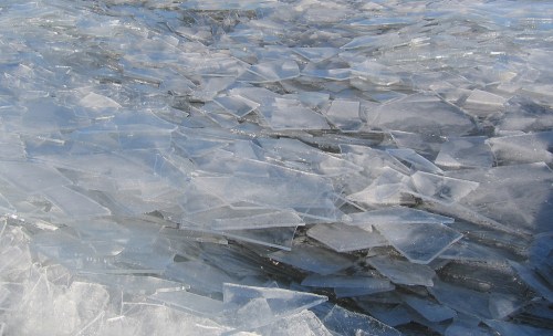 A close-up view of fragmented ice sheets floating on water, reflecting light in various shades of blue and clear.
