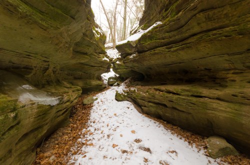 A narrow canyon with snow-covered ground and mossy rock walls, surrounded by trees in a winter landscape.
