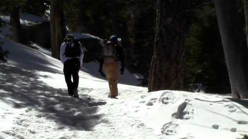 Two people walking on a snowy trail surrounded by trees in a winter landscape.