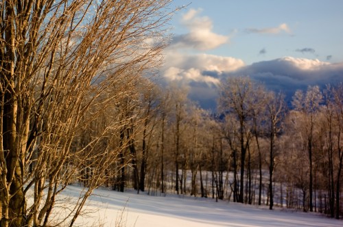 A winter landscape with bare trees, snow-covered ground, and clouds in a blue sky.