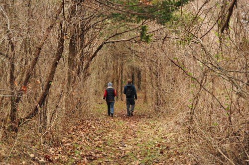 Two people walking along a narrow, overgrown path surrounded by trees and bare branches in a wooded area.