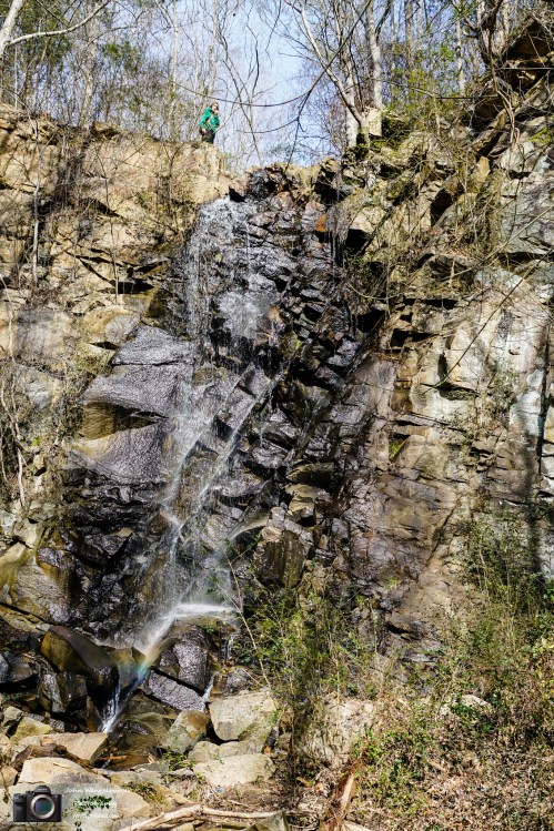 A waterfall cascades down rocky cliffs, surrounded by trees and greenery, with a person standing above.
