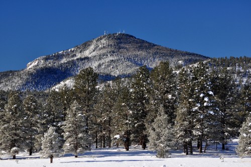 Snow-covered mountain peak surrounded by evergreen trees under a clear blue sky.