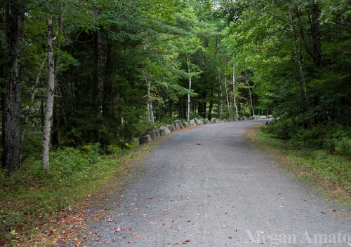 A winding gravel path surrounded by lush green trees and a stone barrier on one side.