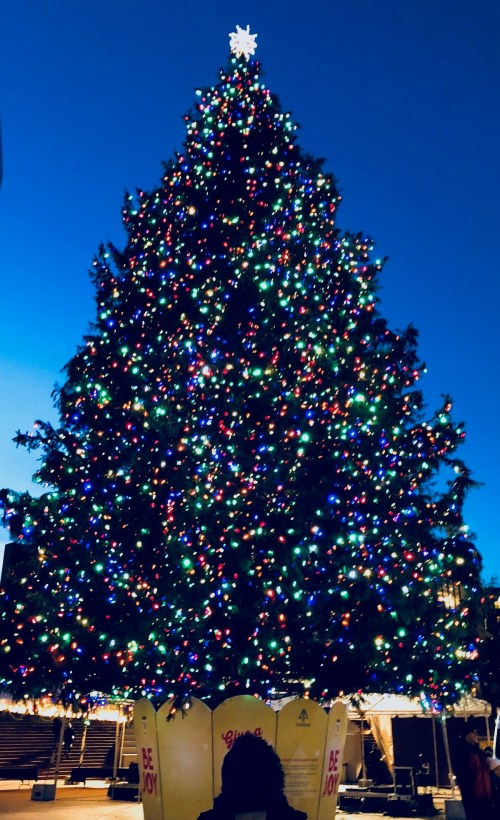 A large Christmas tree adorned with colorful lights, set against a twilight sky.