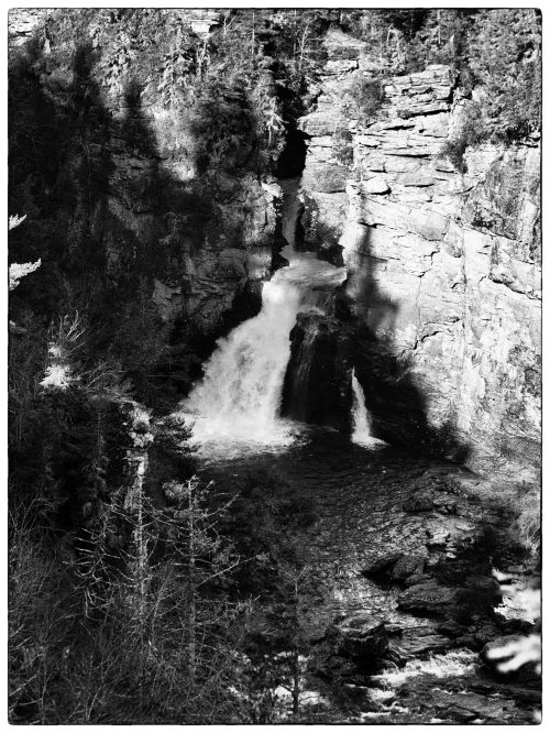 A black and white image of a waterfall cascading down rocky cliffs, surrounded by trees and shadows.