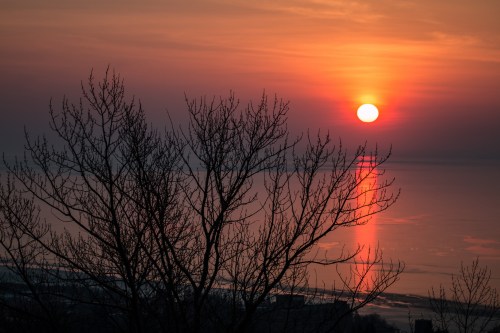 A sunset over a calm sea, with a silhouetted tree in the foreground and vibrant orange and purple hues in the sky.