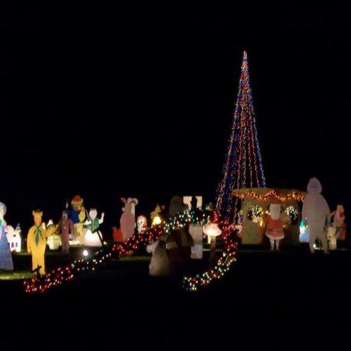 Colorful holiday decorations featuring illuminated figures and a lit Christmas tree against a dark night sky.