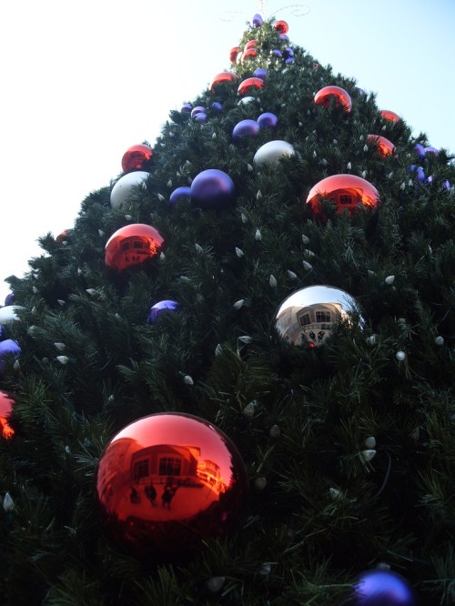 A tall Christmas tree adorned with red, purple, and silver ornaments, reaching towards a clear blue sky.