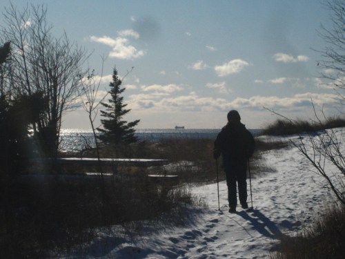 A person walks along a snowy path by the water, with trees and a distant ship under a bright sky.