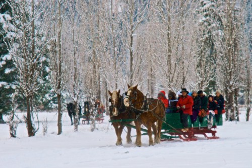 A horse-drawn sleigh rides through a snowy landscape, surrounded by trees and people enjoying the winter scenery.