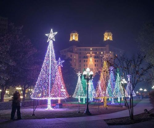 Colorful, illuminated Christmas trees in a park at night, with a building and fog in the background.