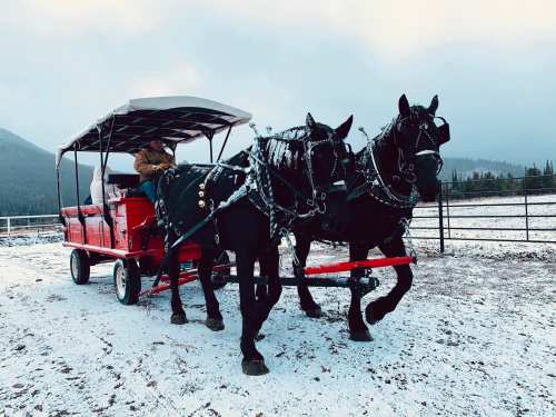 A horse-drawn sleigh with two black horses in a snowy landscape, surrounded by mountains and a cloudy sky.