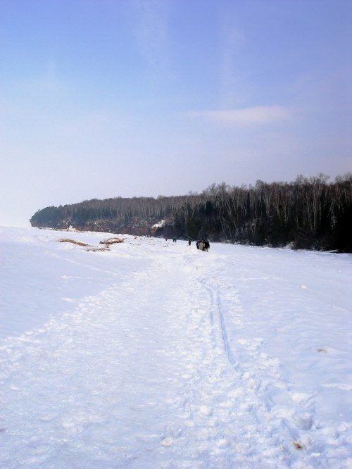 A snowy landscape with a path leading through the snow, flanked by trees in the distance under a clear sky.