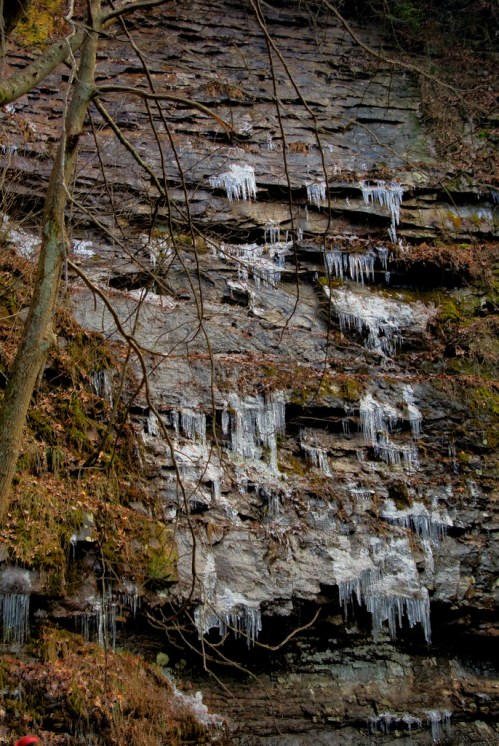 Icicles hang from a rocky cliff, surrounded by autumn leaves and bare tree branches.