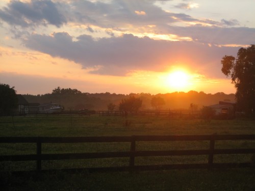 A serene sunset over a rural landscape, with a wooden fence and silhouettes of trees in the foreground.