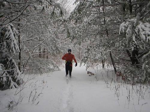 A person in an orange jacket runs along a snowy trail surrounded by trees covered in snow.