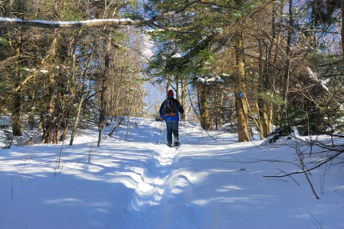 A person hiking on a snowy trail surrounded by trees on a clear winter day.