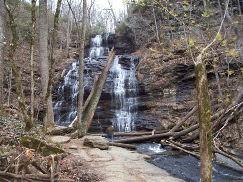 A person walks along a rocky path near a cascading waterfall surrounded by trees and fallen logs.
