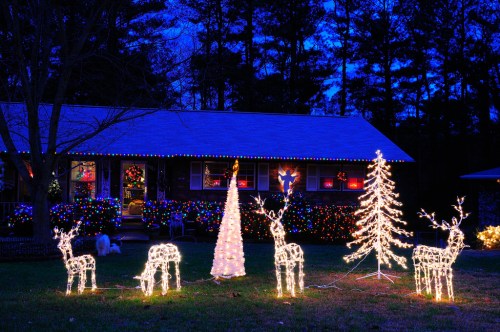 A festive yard display with illuminated reindeer, a Christmas tree, and colorful lights on a house at dusk.