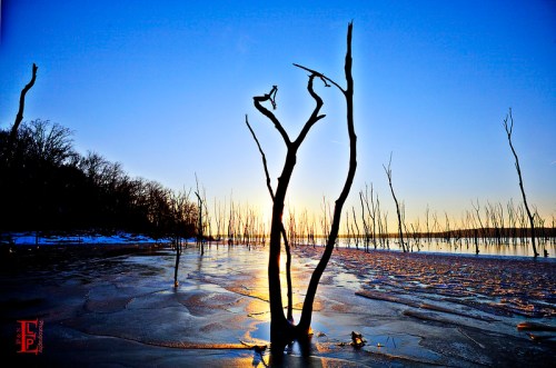 Silhouetted dead trees against a vibrant sunset over a frozen lake, with a clear blue sky above.