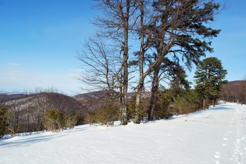 A snowy landscape with bare trees and a clear blue sky, overlooking distant hills and a winding path.
