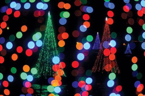 Colorful bokeh lights with illuminated Christmas trees in green and blue against a dark background.