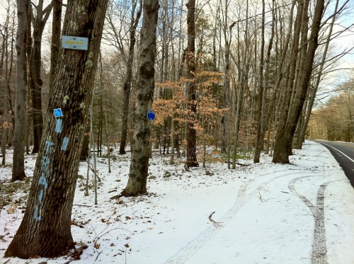 A snowy forest path with trees, road signs, and tire tracks along a roadside in winter.
