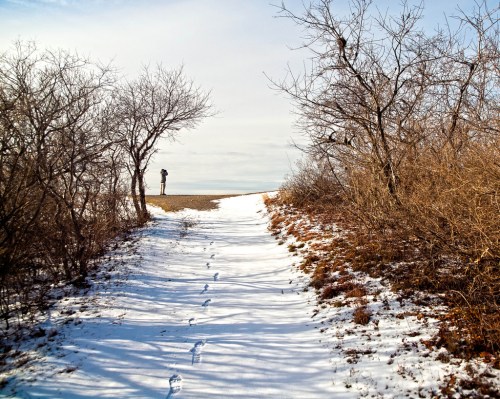 A snowy path leads to a figure standing at the edge of a field, framed by bare trees under a cloudy sky.