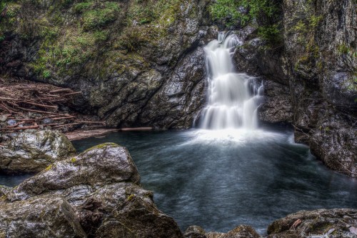 A serene waterfall cascades over rocks into a tranquil pool, surrounded by lush greenery and fallen branches.
