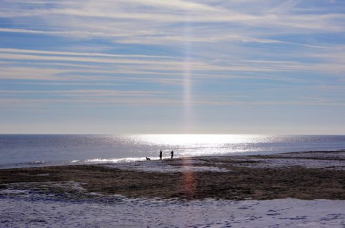 A serene beach scene with two people and a dog walking along the shore under a bright, cloudy sky.